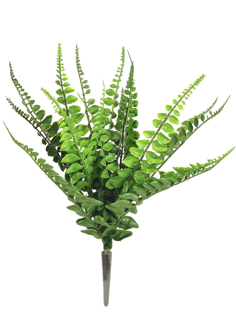 Buckler Fern Bushes: Set of 24, 14-Inch by Floral Home&#xAE;