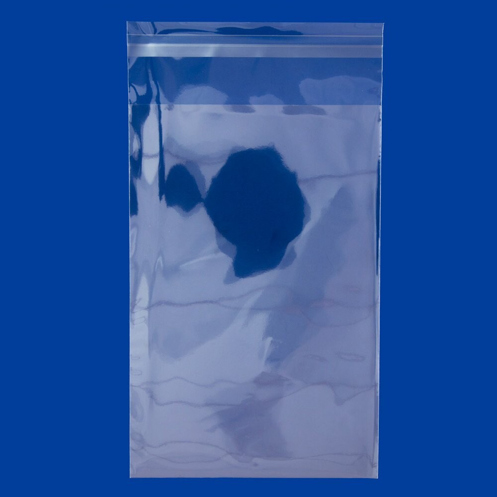 Resealable Polypropylene Bags 6x9 (OPP Bags) (Package of 100)