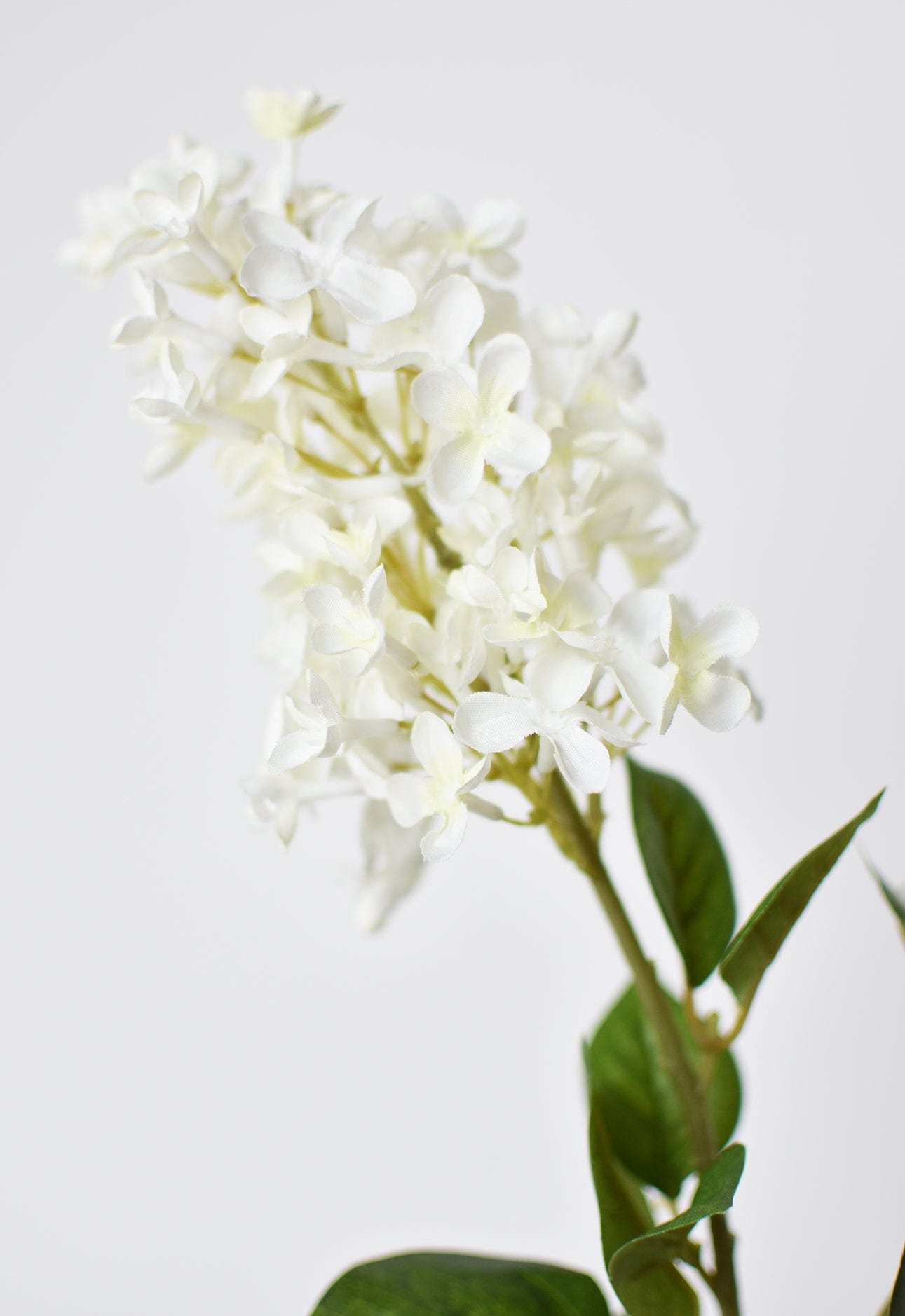28.5&#x22; Faux White English Lilac Stem