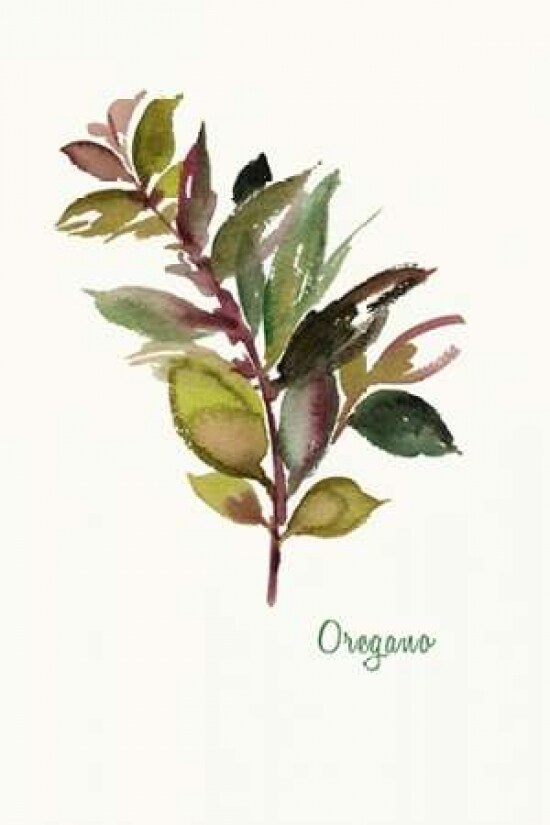 Oregano - Mini Poster Print by Asia Jensen