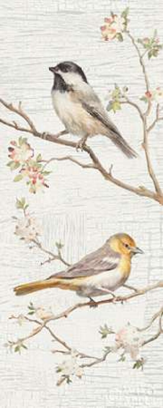 Vintage Birds Panel II Poster Print by Danhui Nai - Item # VARPDX29246