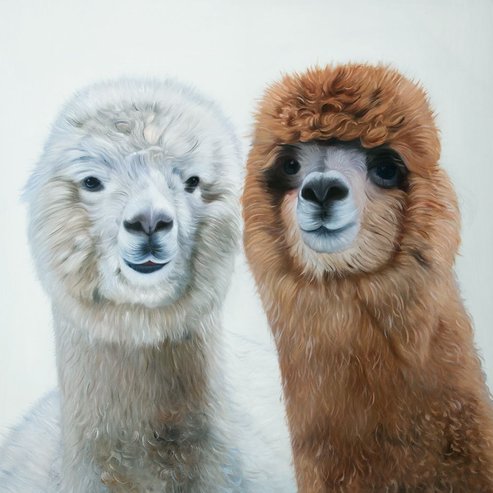 TWO LAMAS Poster Print by Atelier B Art Studio - Item # VARPDXBEGANI470