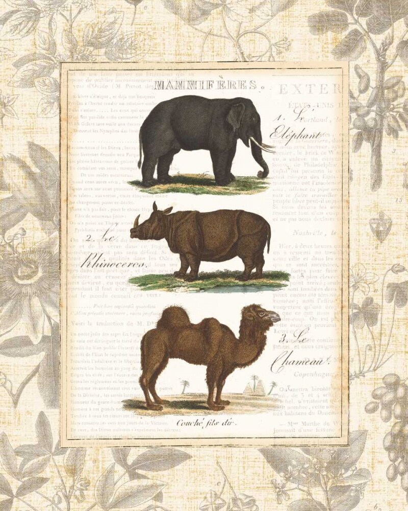 African Animals II Poster Print by Wild Apple Portfolio - Item # VARPDX13529