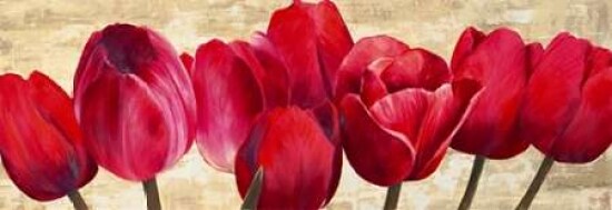 Red Tulips Poster Print by Cynthia Ann - Item # VARPDX4AN1217