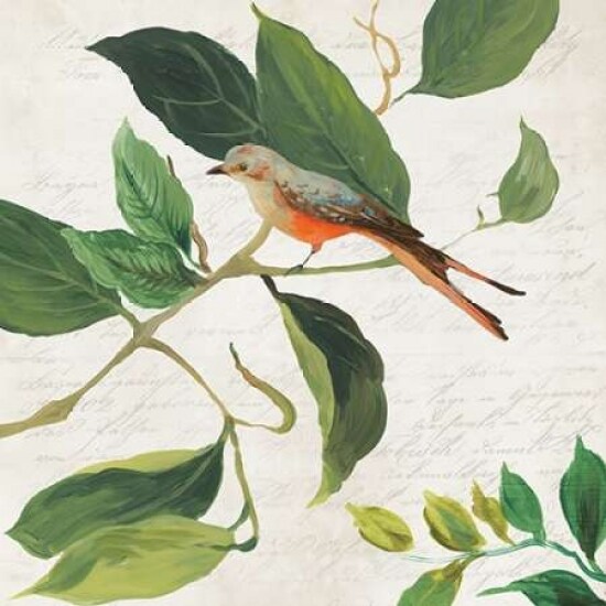 Singing Bird I Poster Print by Asia Jensen