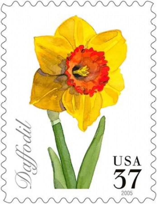Daffodil 37 Poster Print by US POSTAL SERVICE - Item # VARPDX3360