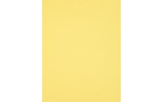 PA Paper Accents Cartoncino Testurizzato Marrone 30,5x30,5 Cm – 25 Fogli Da 330g, Per Scrapbooking, Biglietti E Crafting