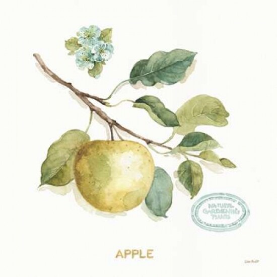 My Greenhouse Fruit IV Poster Print by Audit Lisa - Item # VARPDX22225