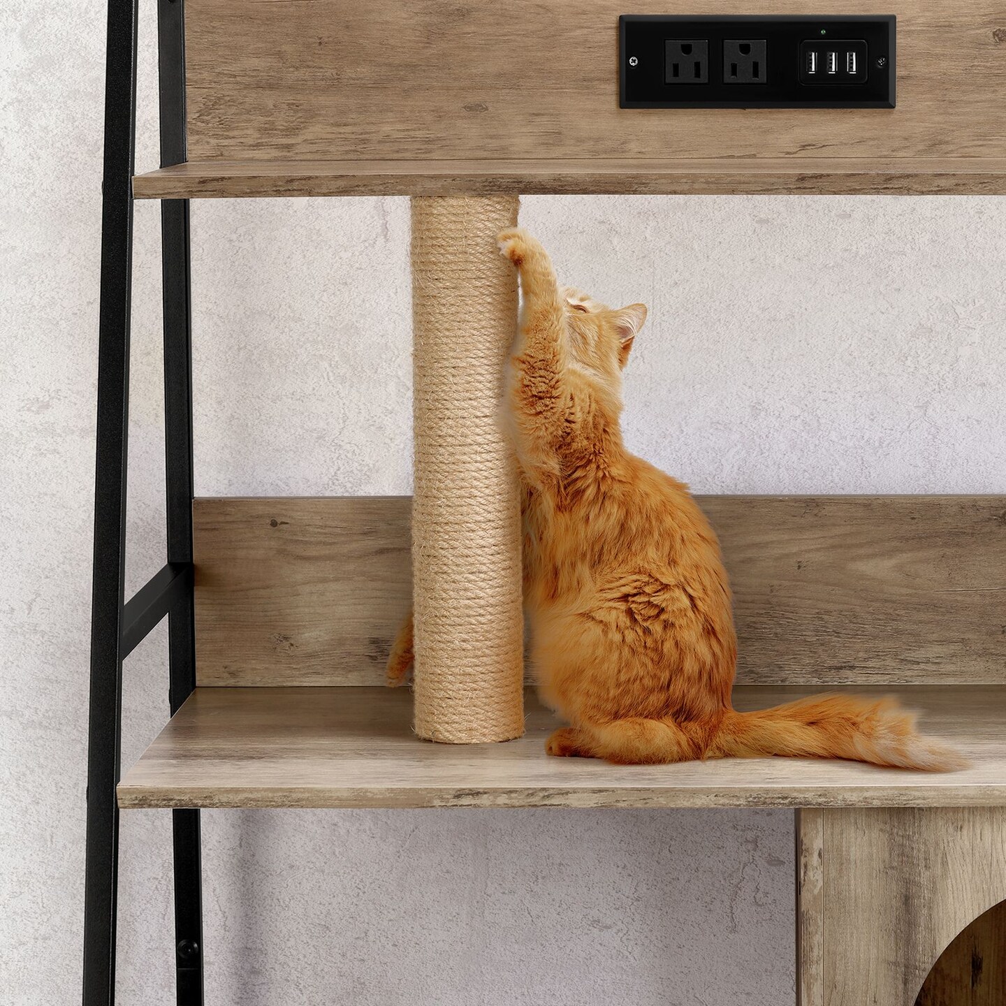 Litter Box Enclosure with Storage Shelves