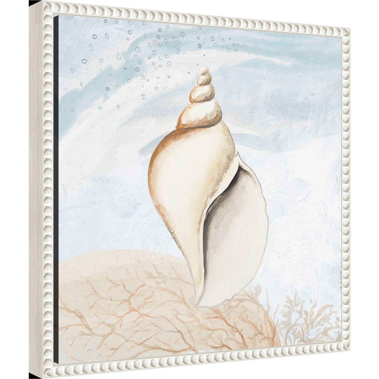 Ocean Oasis Tropical Seashell I by Patricia Pinto Framed Canvas Wall Art