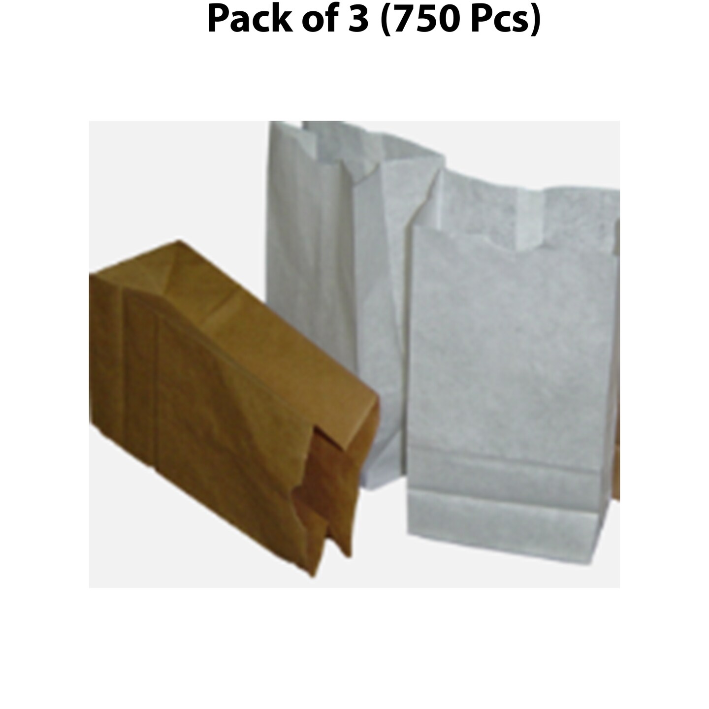 Strong Paper Bag White-16 | Premier Source for Stylish Paper Bags | RAHEEV&#xAE;