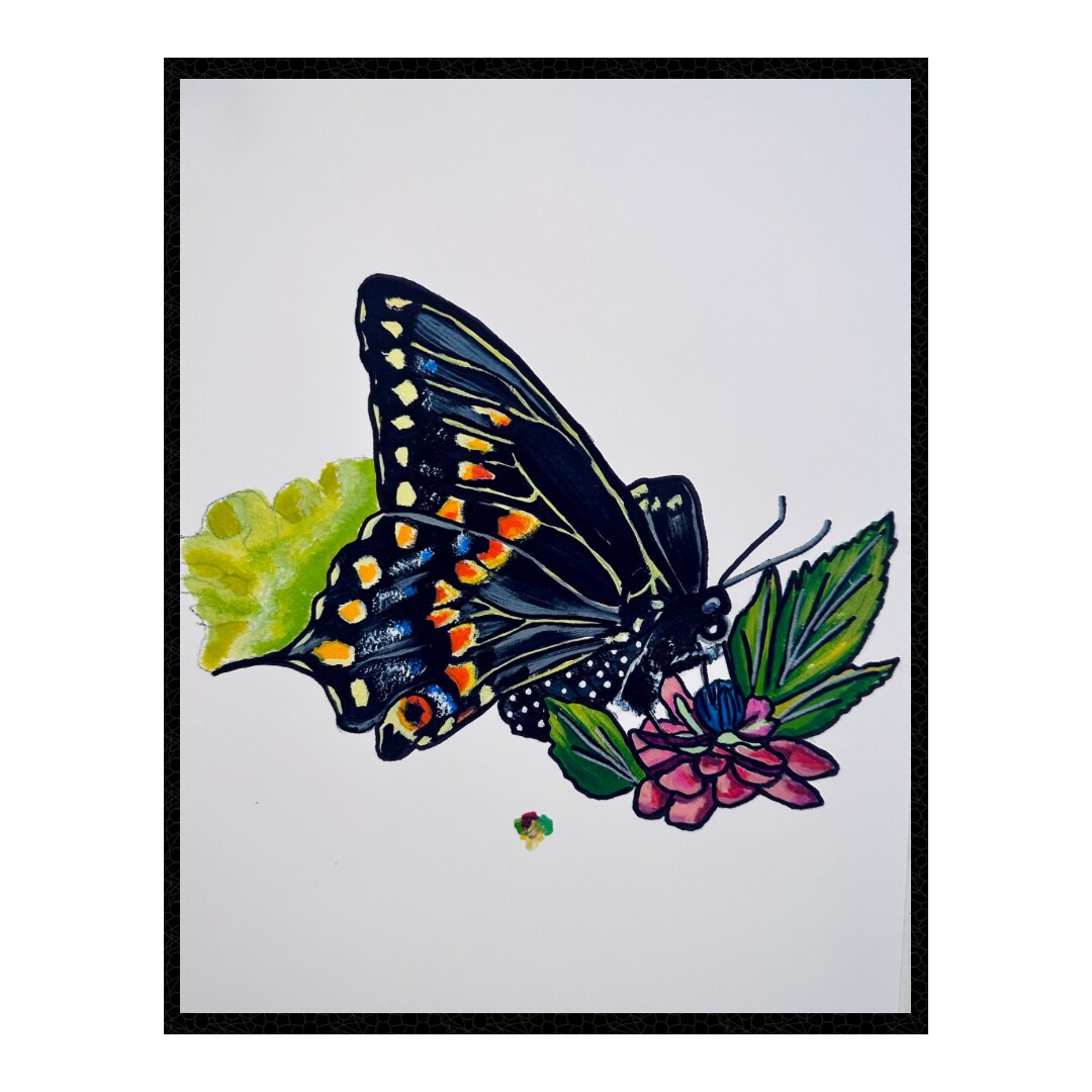 Black Swallowtail Butterfly | MakerPlace by Michaels