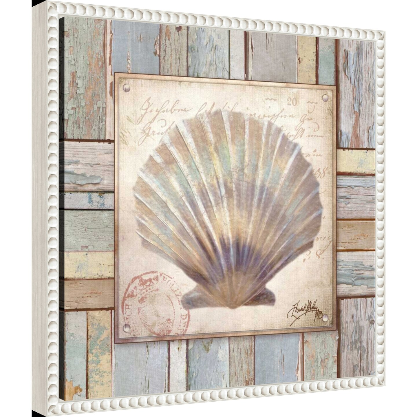 Beach Shell I by Elizabeth Medley Framed Canvas Wall Art