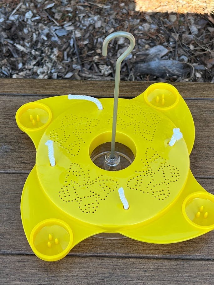 Butterfly Feeder