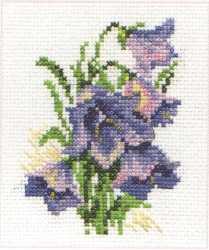 Bluebells 0-79 Counted Cross-Stitch Kit