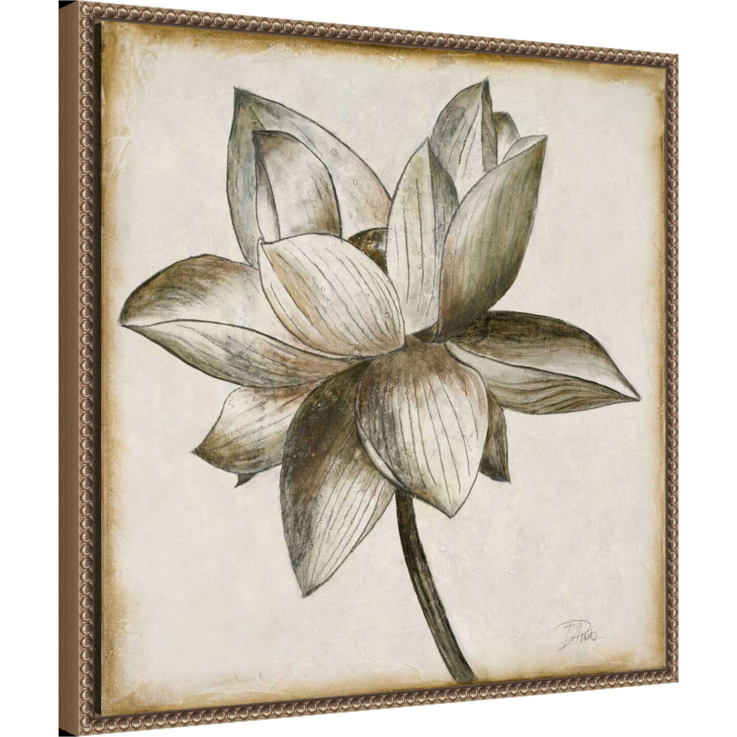 Sepia Lotus I by Patricia Pinto Framed Canvas Wall Art