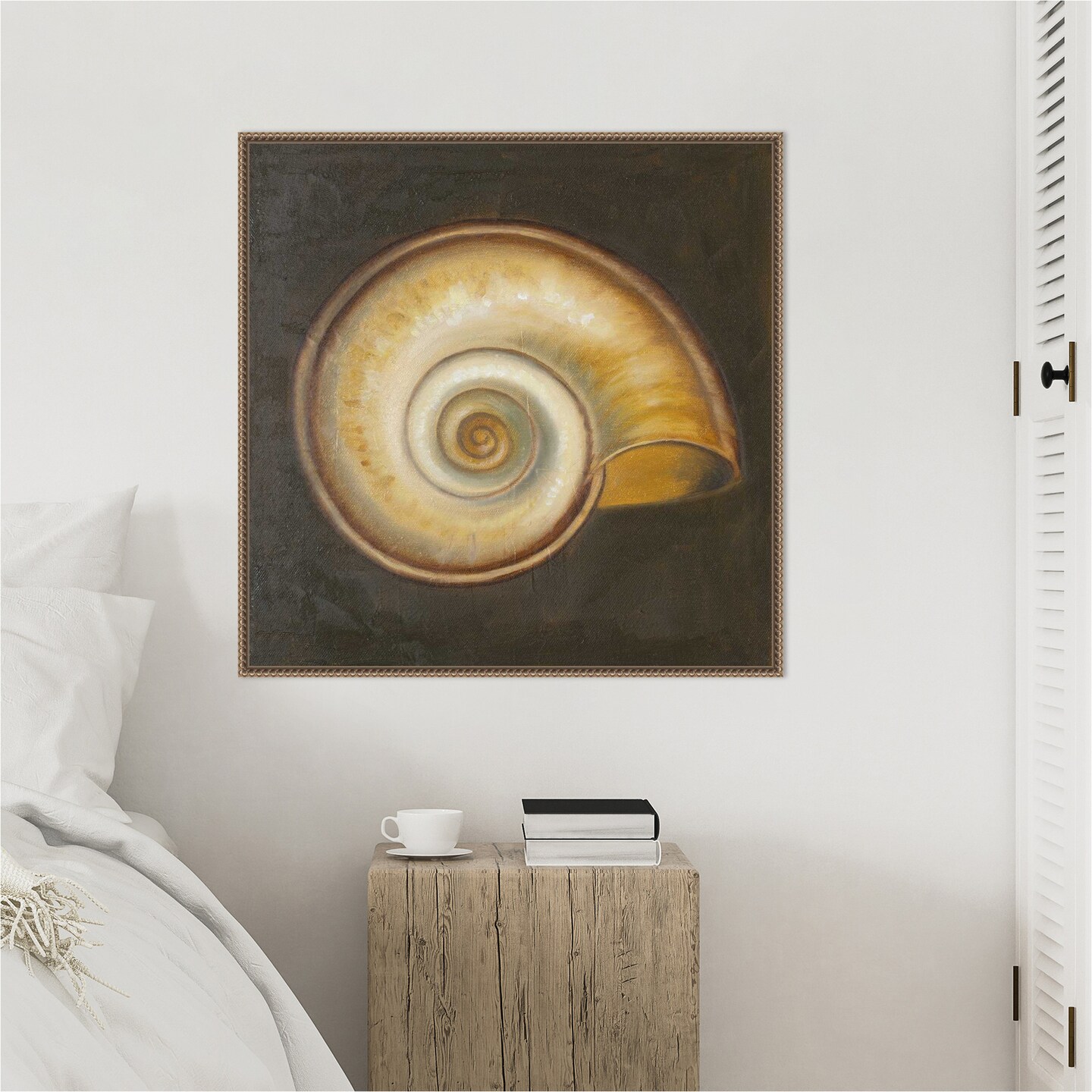 Seashell I by Patricia Pinto Framed Canvas Wall Art