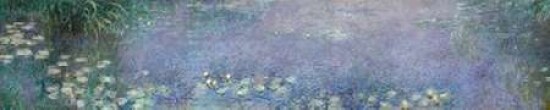 The Water Lilies - Morning Poster Print by Claude Monet - Item # VARPDX5CM1518