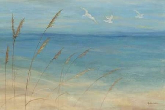 Seagrass Seagulls Poster Print by Cynthia Coulter - Item # VARPDXRB7326CC