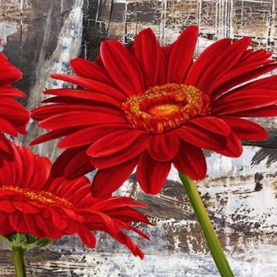 Red Gerberas II Poster Print by Jenny Thomlinson - Item # VARPDX1JT1452