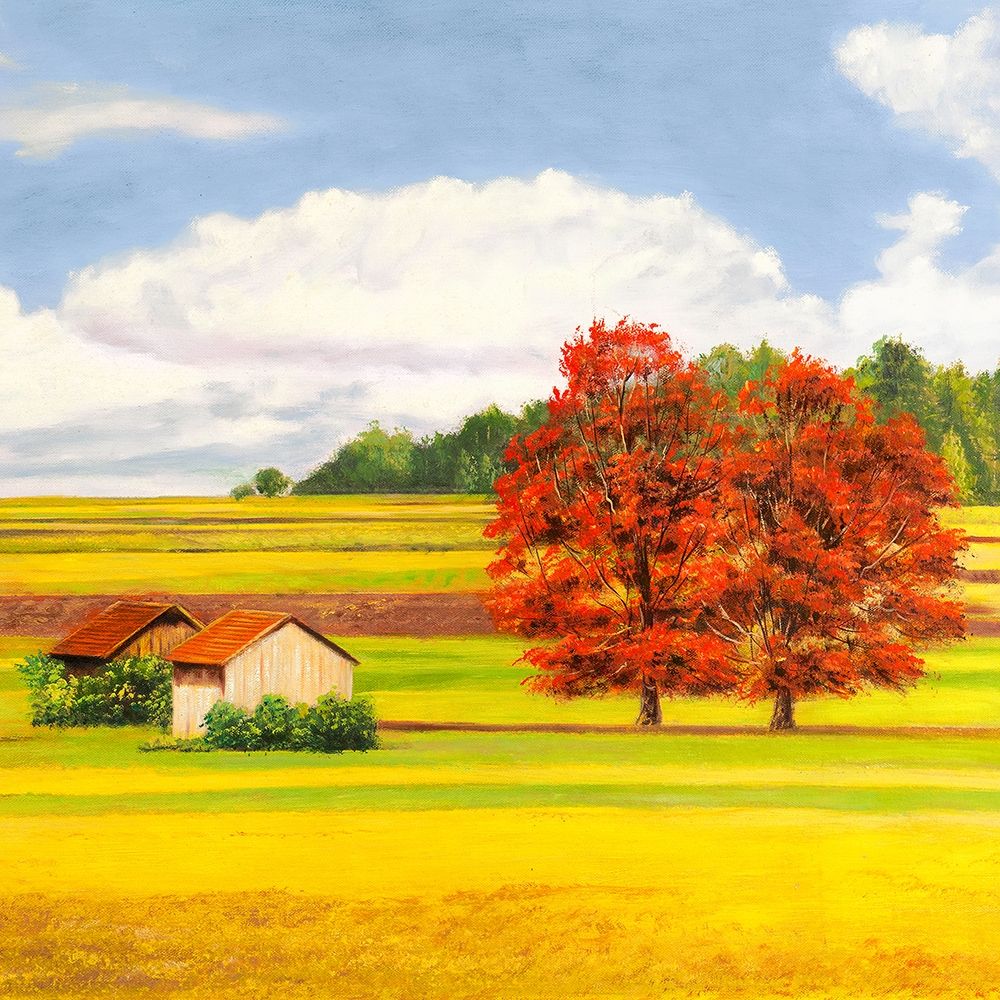 Pianure serene II Poster Print by Masera Angelo - Item # VARPDX1NS4492