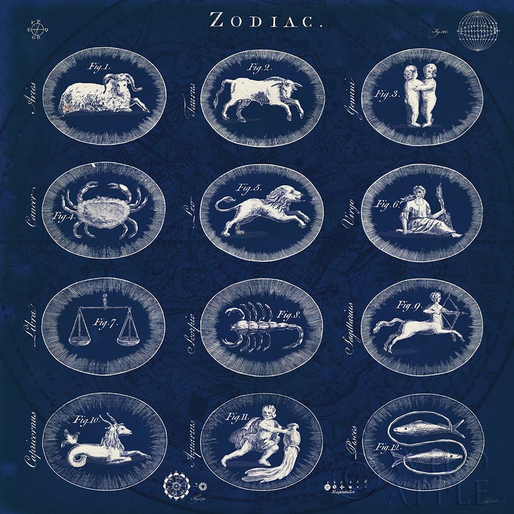 Blueprint Zodiac Poster Print by Sue Schlabach - Item # VARPDX12105