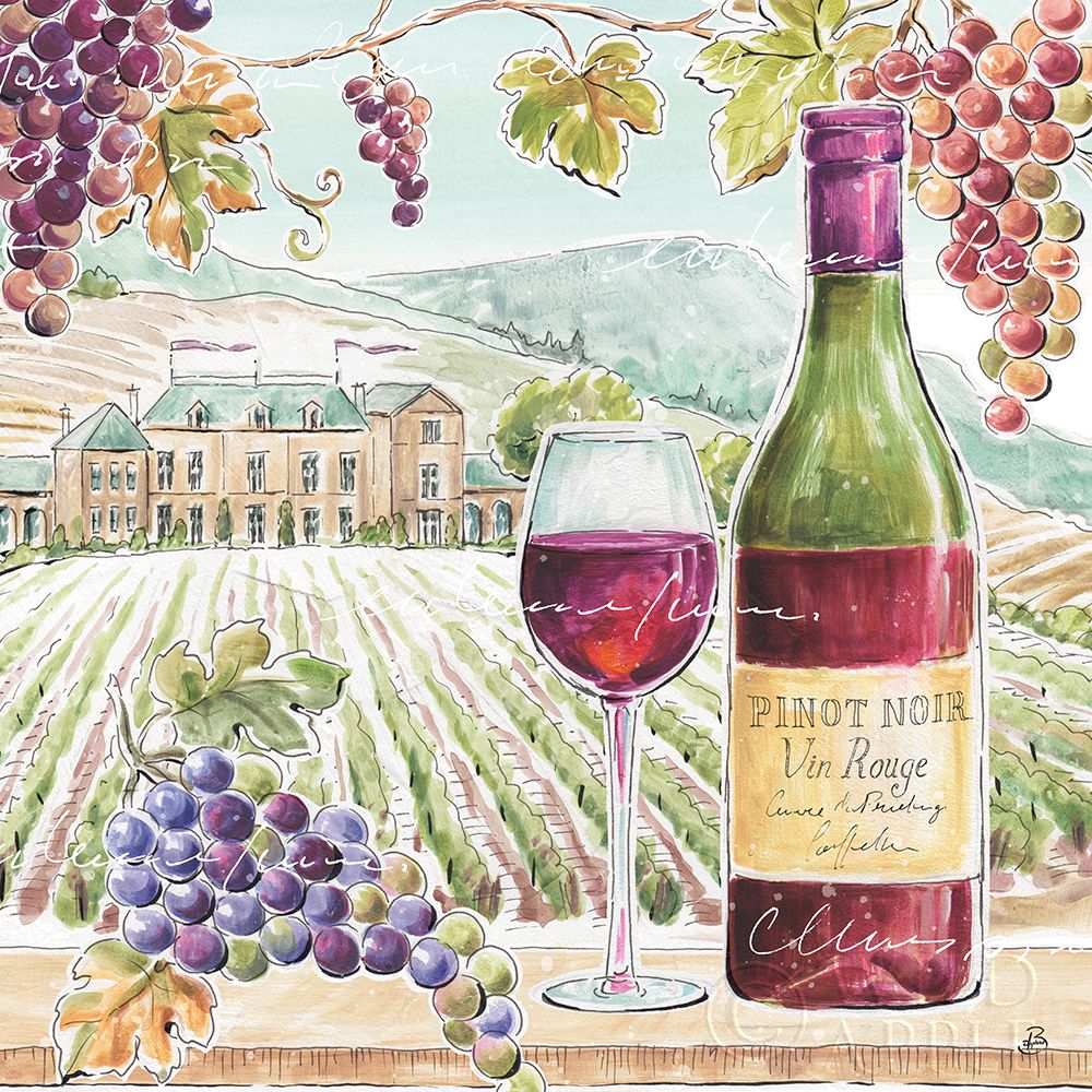 Wine Country IV Poster Print by Daphne Brissonnet - Item # VARPDX42149