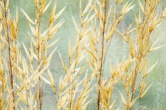 Golden Grasses Poster Print by Kathy Mahan - Item # VARPDXPSMHN630