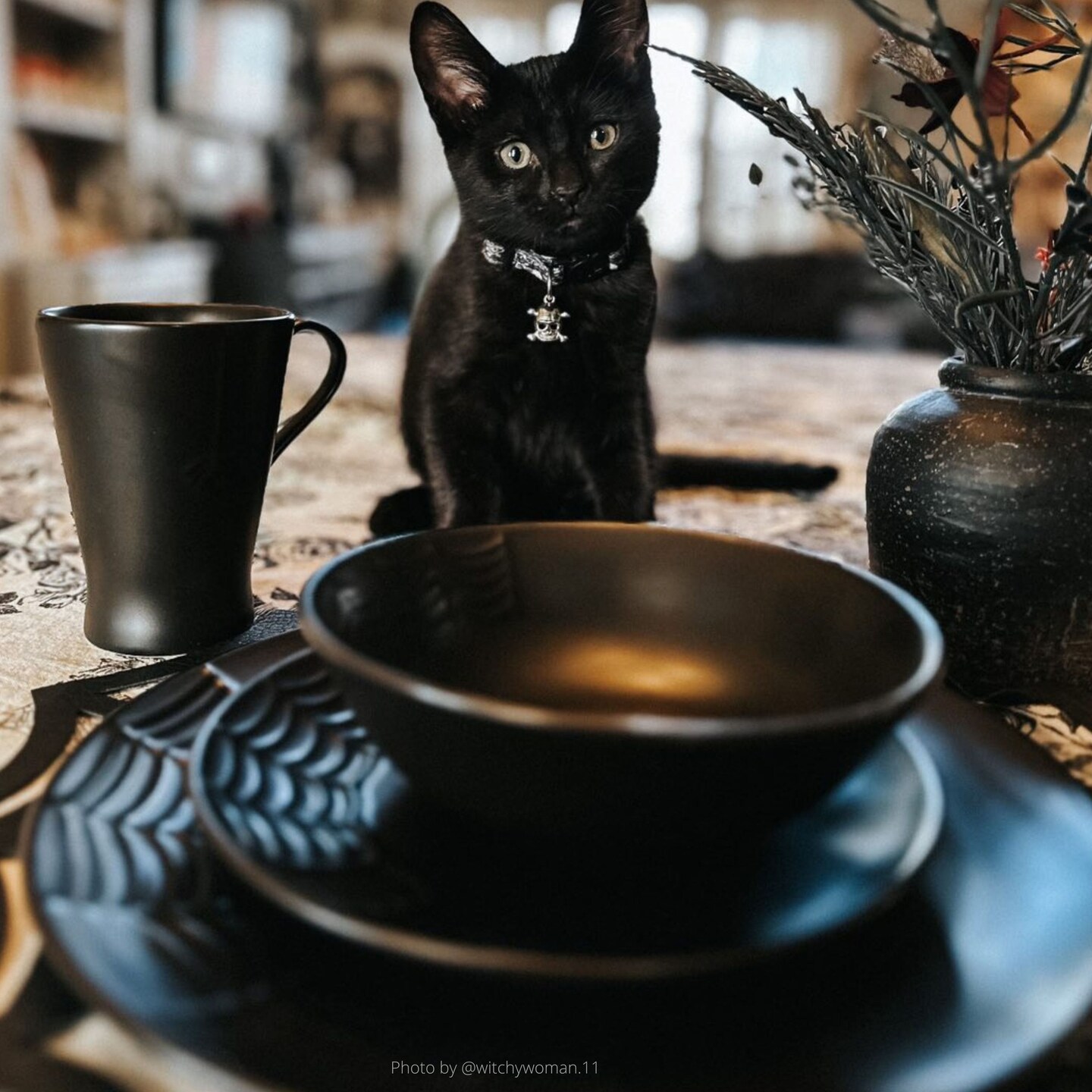 Nomnu Spiderweb Embossed Gothic Dinnerware Set 16 Pieces Includes 4 Dinner plates 4 Salad Plates 4 Bowls and 4 Mugs. Halloween Spooky Goth Kitchen Decor Gifts. Gothic Decor Michaels