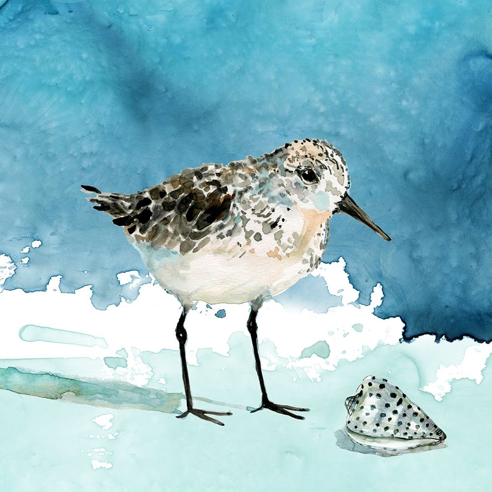 Delray Sandpiper I Poster Print by Carol Robinson # 41881