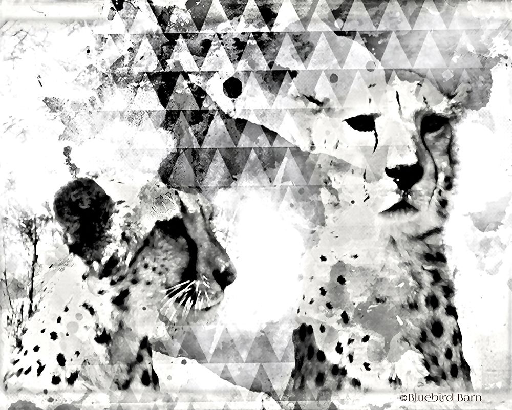 Modern Black &#x26; White Cheetahs    Poster Print by Bluebird Barn Bluebird Barn - Item # VARPDXBLUE140