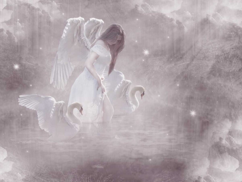 Swan Angel Poster Print by Babette - Item # VARPDX82709
