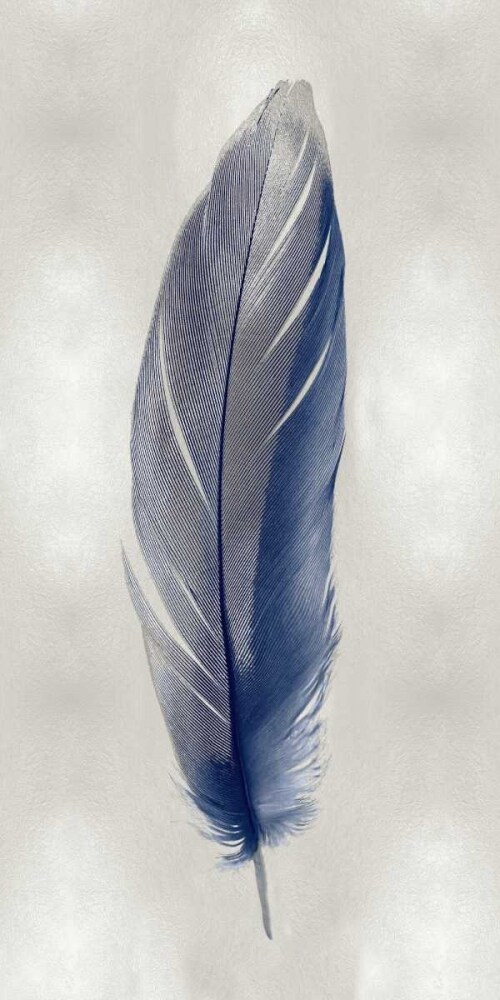 Blue Feather on Silver II Poster Print by Julia Bosco # JBC114215