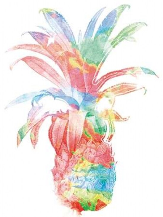 Colorful Pineapple Clean Poster Print by Jace Grey - Item # VARPDXJGRC387A2