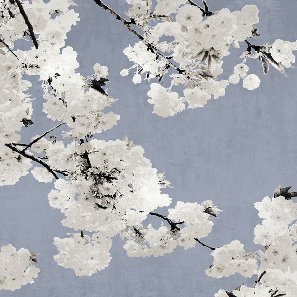 Blossoms on Blue I Poster Print by Kate Bennett # KTB116619