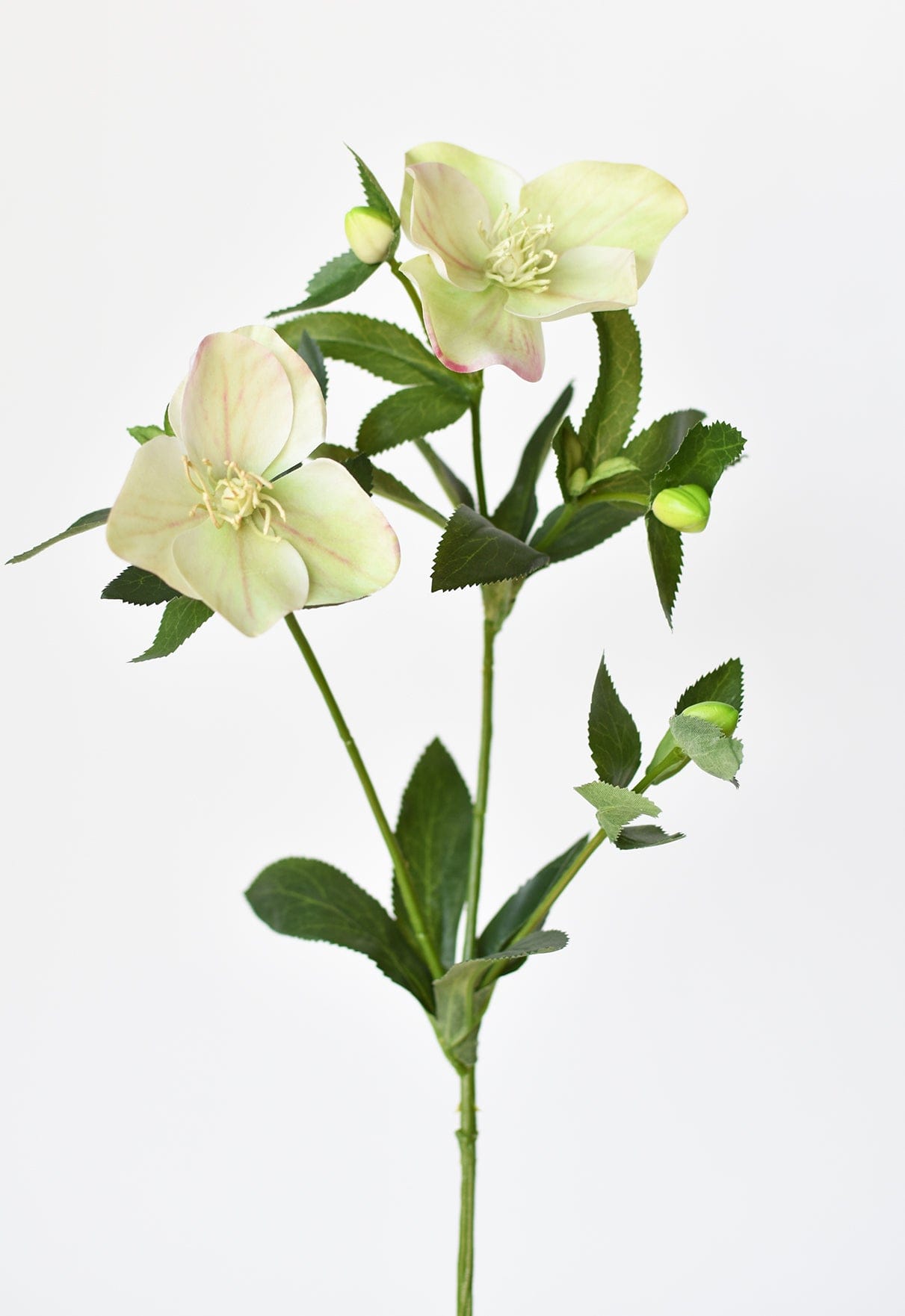 25&#x22; Faux Helleborus Stem Green