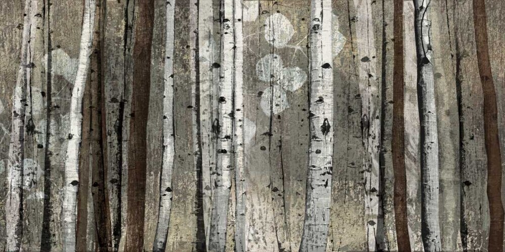 Silver Lining Poster Print by Tandi Venter - Item # VARPDX12749