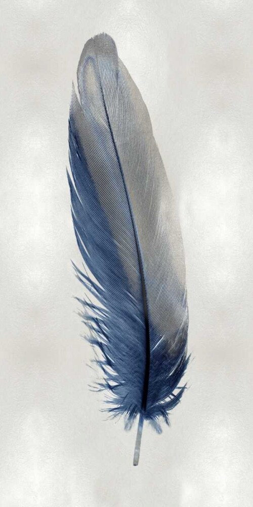 Blue Feather on Silver I Poster Print by Julia Bosco # JBC114214