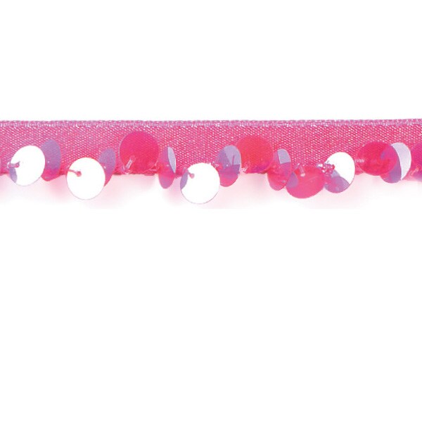 Sequin Trim Pack of 24&#x22;