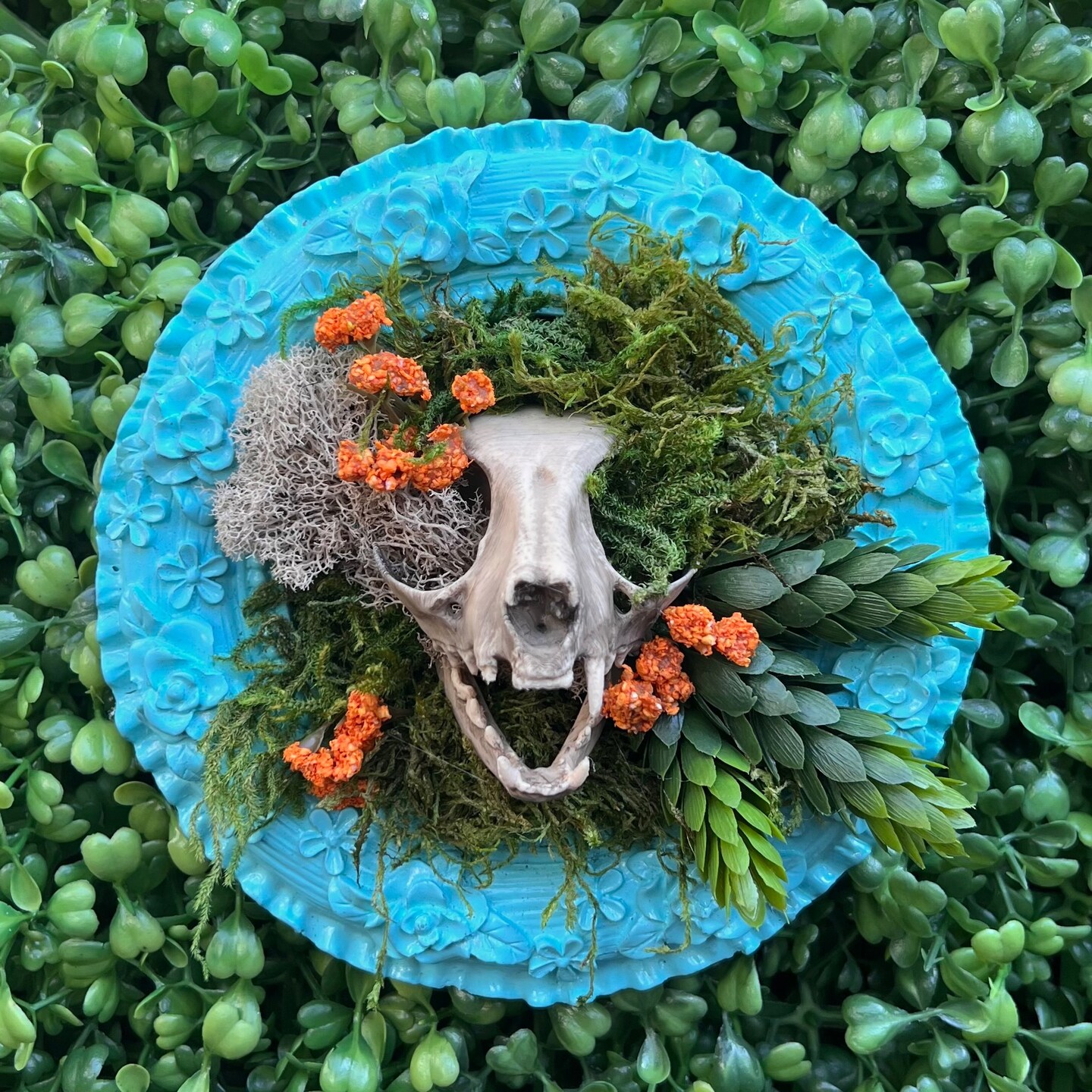 storefront avatar