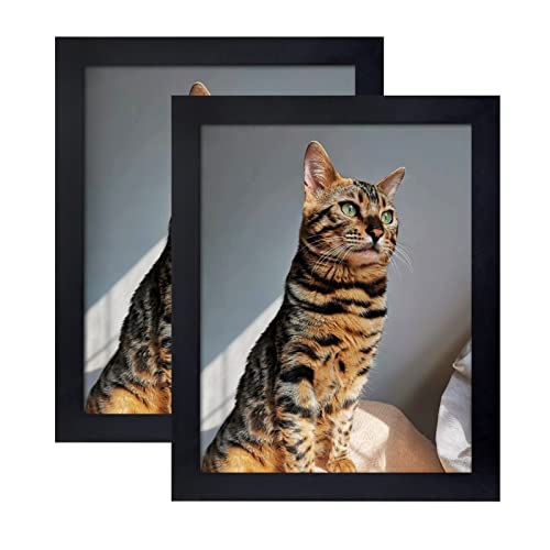Xiangzhen Picture Frame 8x10 Inch Set of 2,Made of Wood, Wall Mount Vertically or Horizontally-Photo Frame Poster Frames, Wall Mount or Tabletop Use, Black