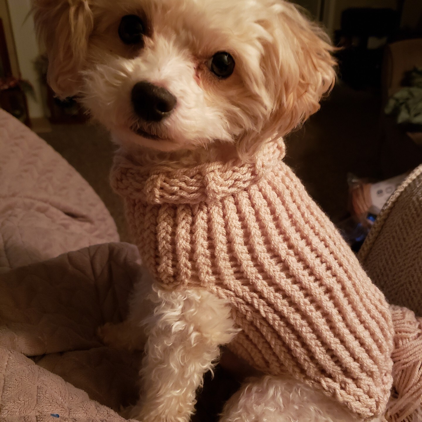 Handmade outlet Dog sweater