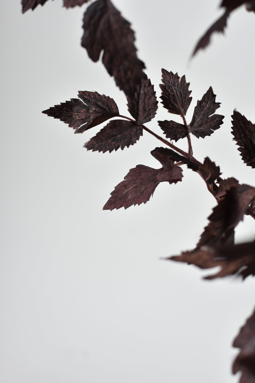 31&#x22; Faux Cimicifunga Ramosa Stem: Plum