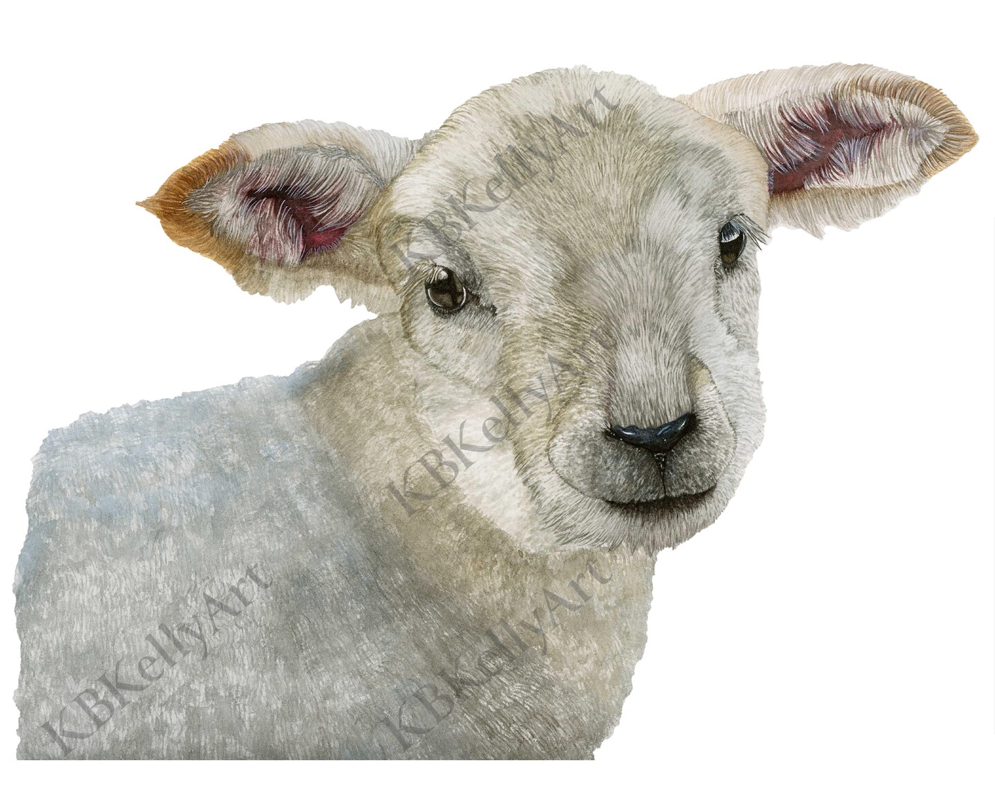 Lamb Watercolor Art Print Lamb Wall Art White Lamb Baby Sheep Lamb for ...