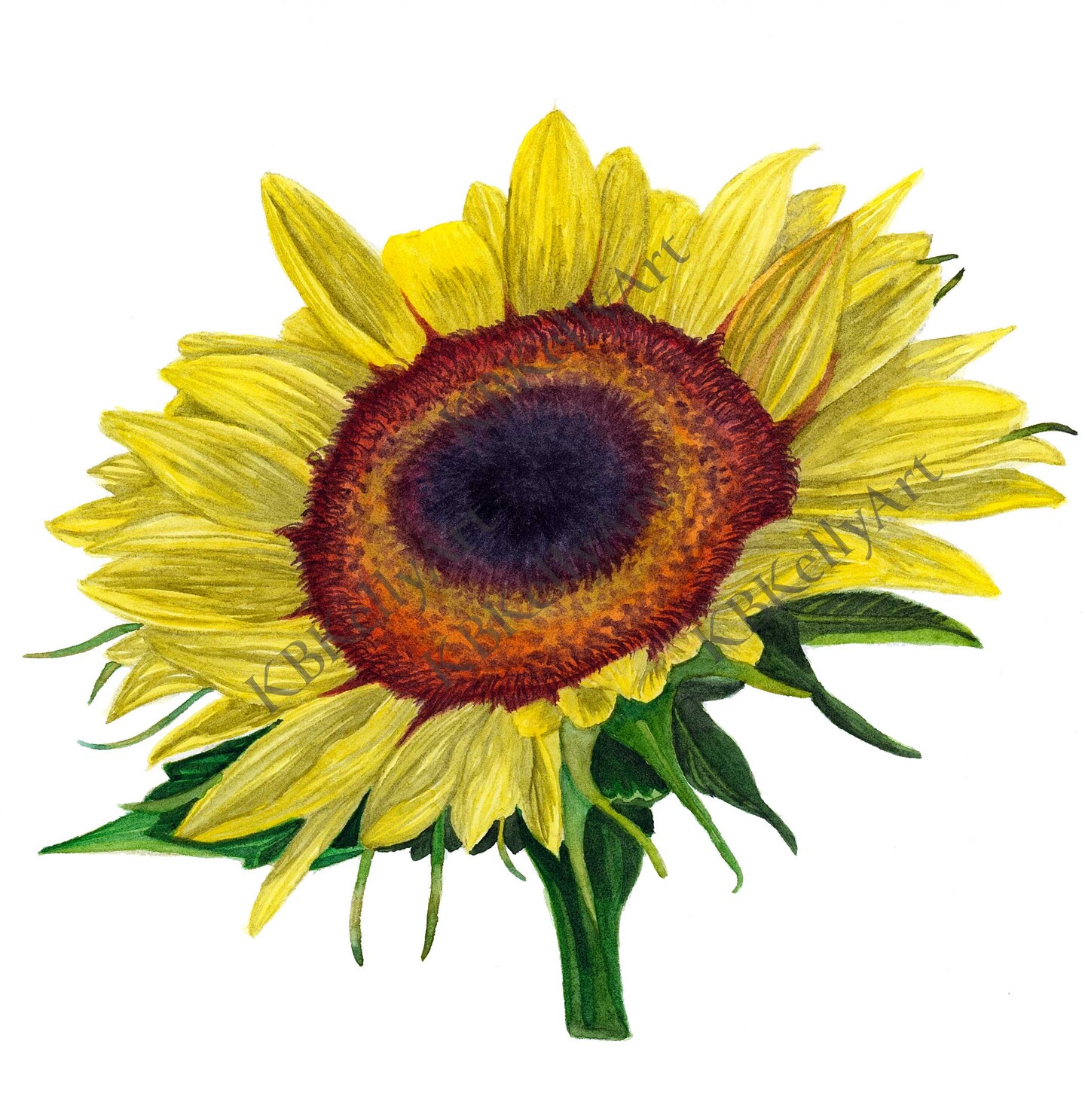 Sunflower Watercolor Art Print Sunflower Painting Floral Wall Art ...