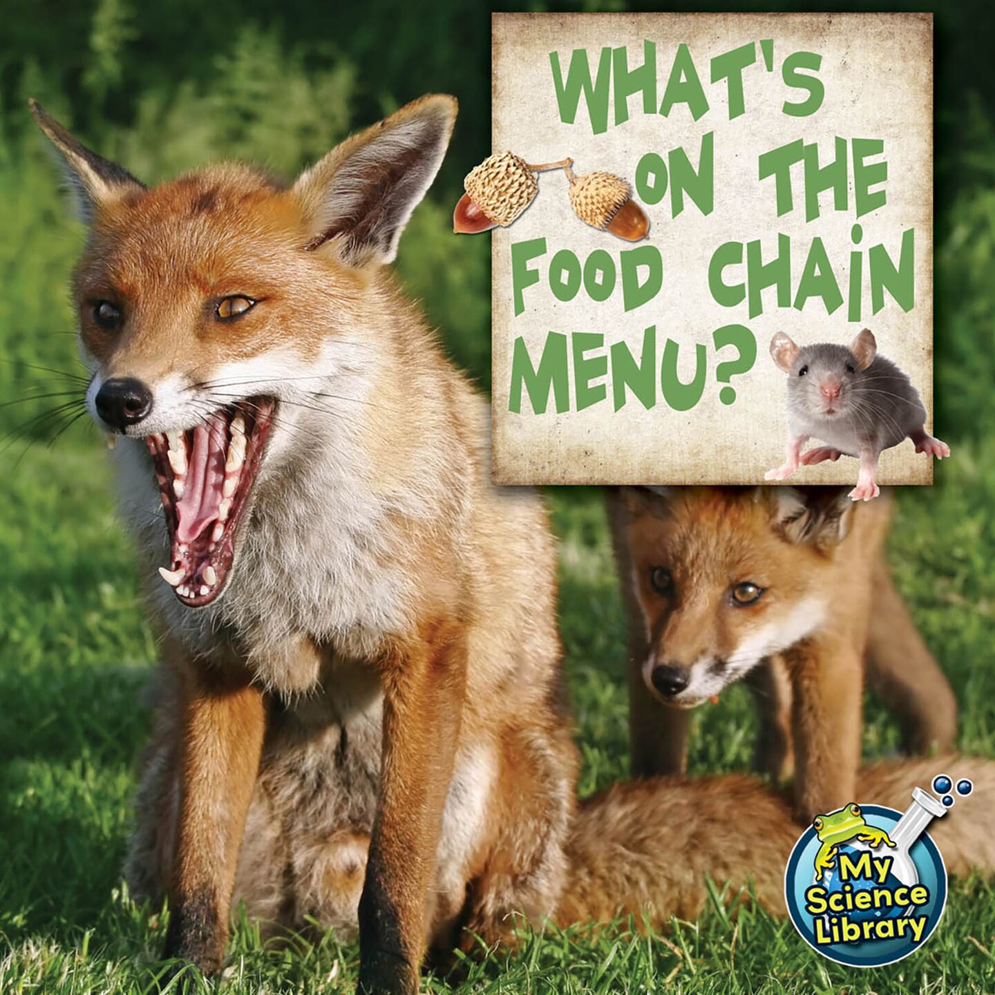 Rourke Educational Media What's On The Food Chain Menu?