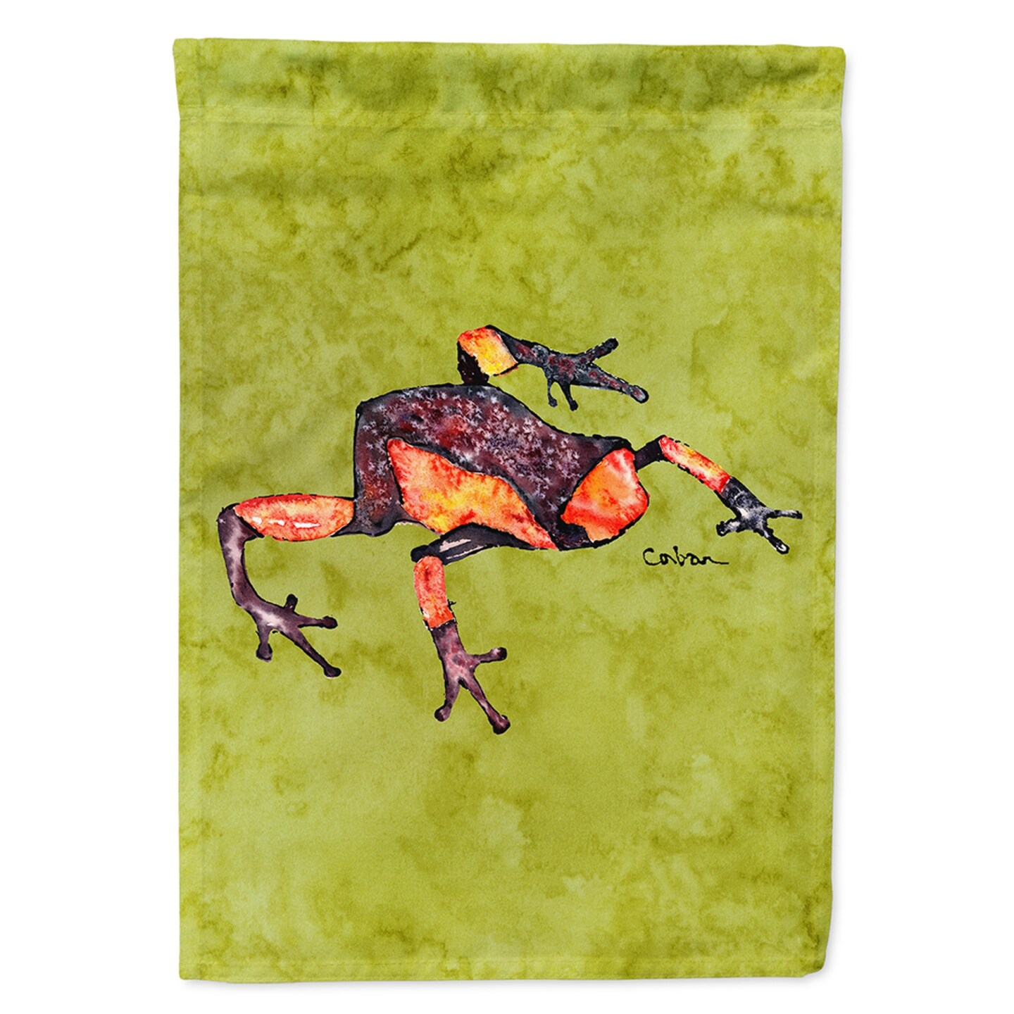 &#x22;Caroline&#x27;s Treasures 8689CHF Frog Flag Canvas, Large, Multicolor&#x22;