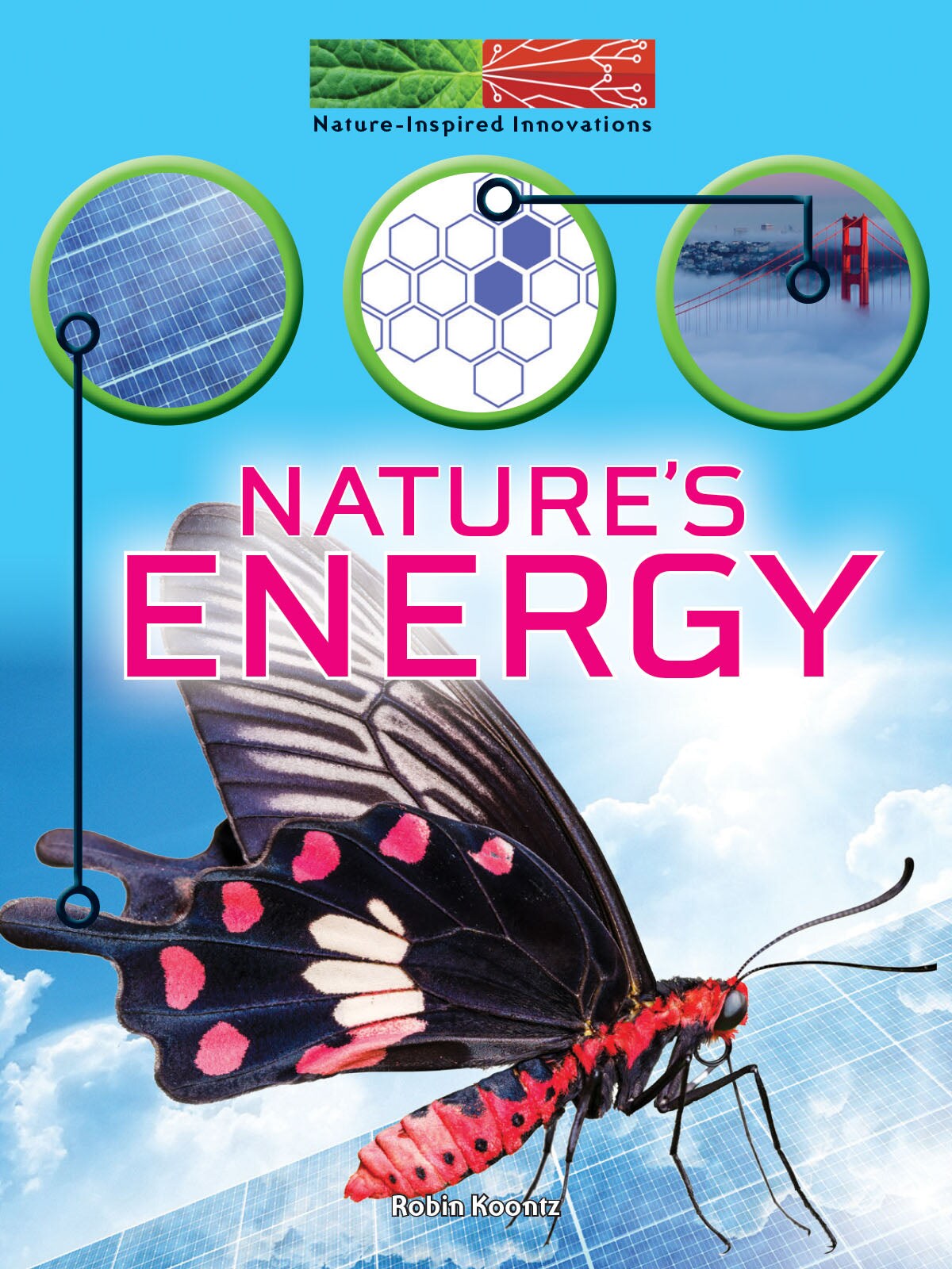 Rourke Educational Media Nature&#x27;s Energy