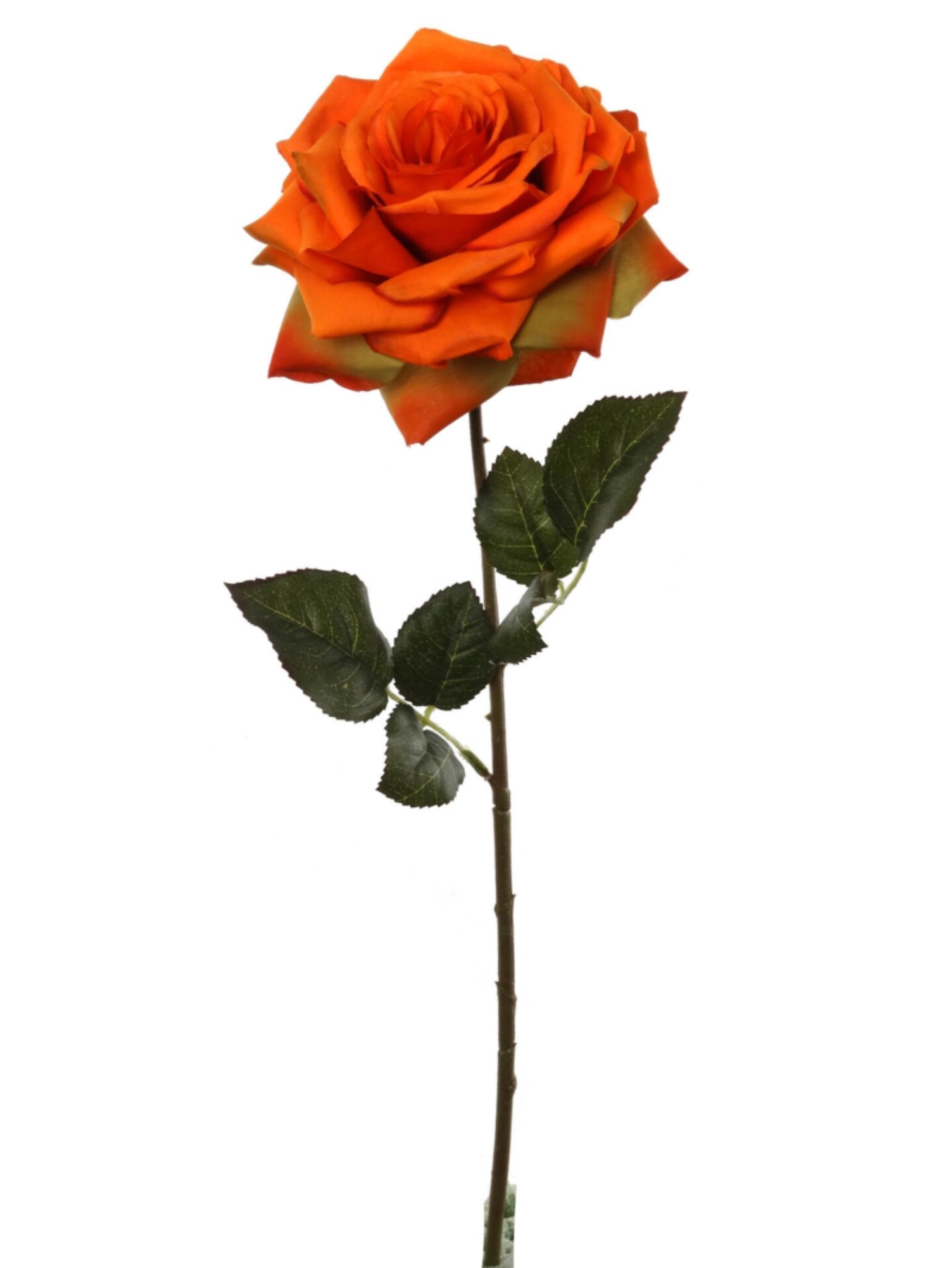 Vivid 20&#x22; Orange Open Rose Silk Flowers Set of 12 - Eye-Catching 6&#x22; Diameter Lifelike Blossoms for Home D&#xE9;cor, Weddings, and Festive Occasions