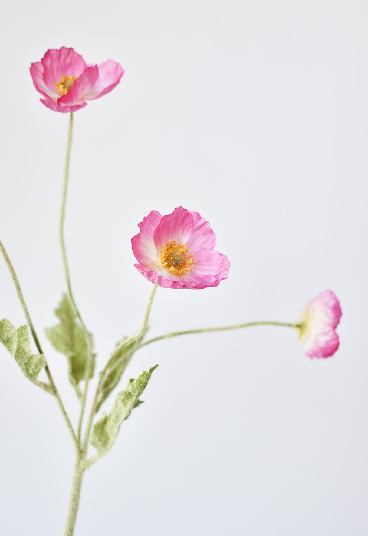 24&#x22; Faux Pink Poppy Stem